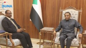 رئيس مجلس الوزراء يثمن مجهودات إتحاد الإعلاميين الأفارقة في دعم القضية السودانية