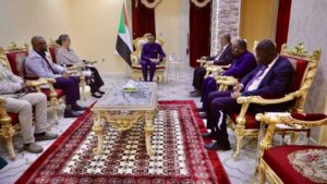 رئيس الوزراء يُثمن الدور الذي تضطلع به منظمة رعاية الطفولة بالبلاد